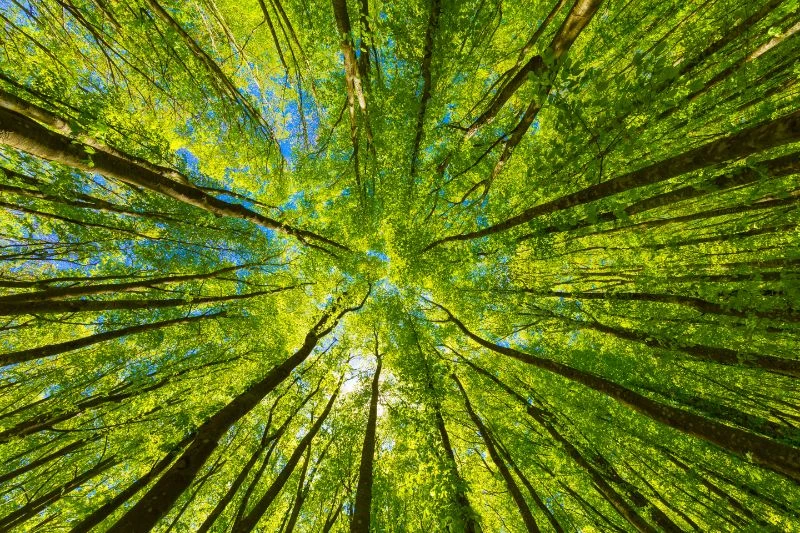 ダウンロード (4)